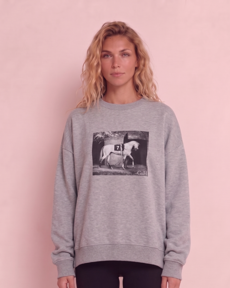 Baskılı Kadın Oversize Sweatshirt Gri